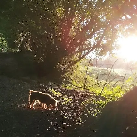 בית נופש Pequenocabarceno