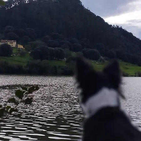 Pequenocabarceno בית נופש *