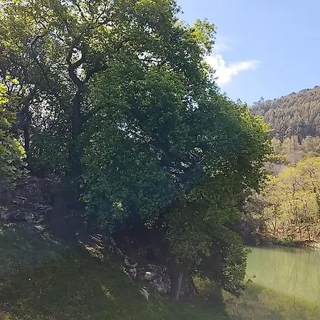 Pequenocabarceno בית נופש