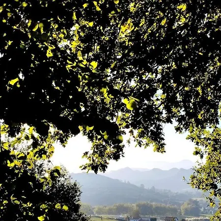 Pequenocabarceno Solares