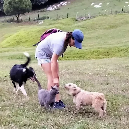 Pequenocabarceno בית נופש