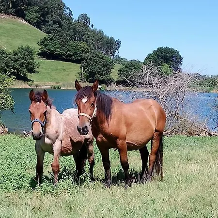 Pequenocabarceno Feriehus