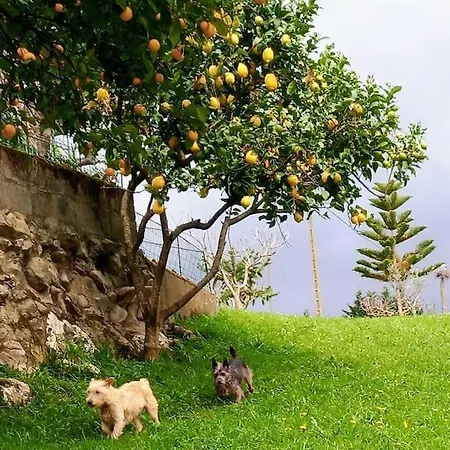 Pequenocabarceno בית נופש