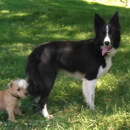 Pequenocabarceno בית נופש סולארס