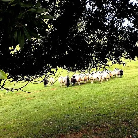 Pequenocabarceno * סולארס