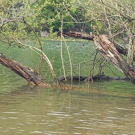 Pequenocabarceno Feriehus Solares