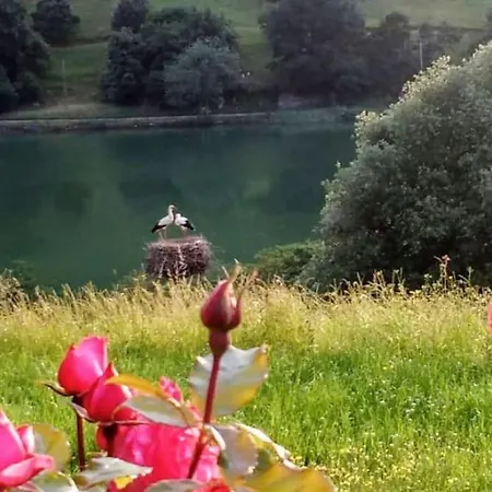 Pequenocabarceno Solares