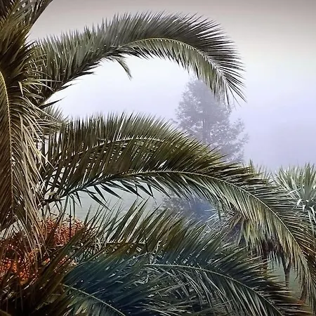 Feriehus Pequenocabarceno Solares