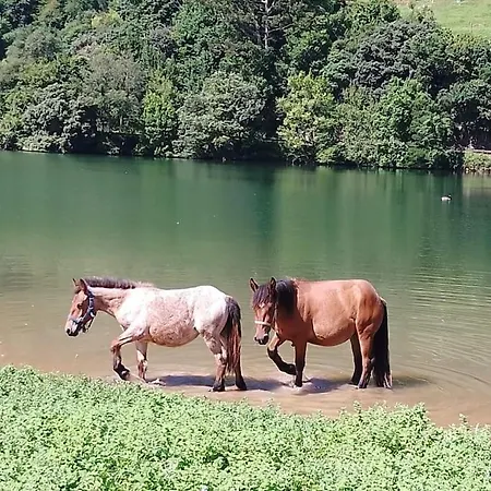 Pequenocabarceno בית נופש סולארס