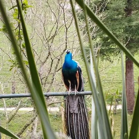 Pequenocabarceno Feriehus Solares