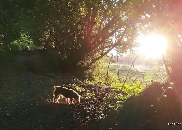 Prázdninový dům Pequenocabarceno