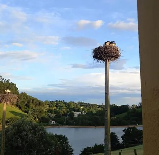 Pequenocabarceno * Solares