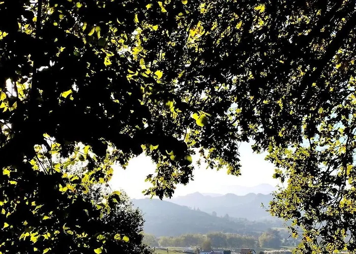 Pequenocabarceno Solares