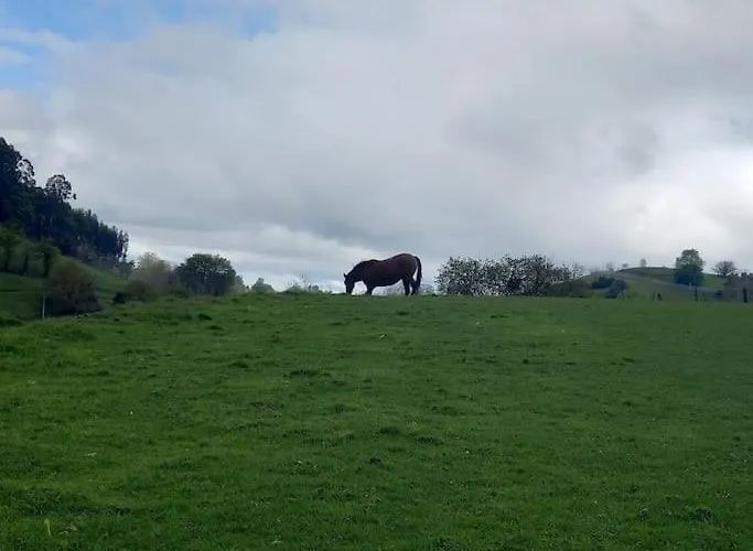 Pequenocabarceno * Solares
