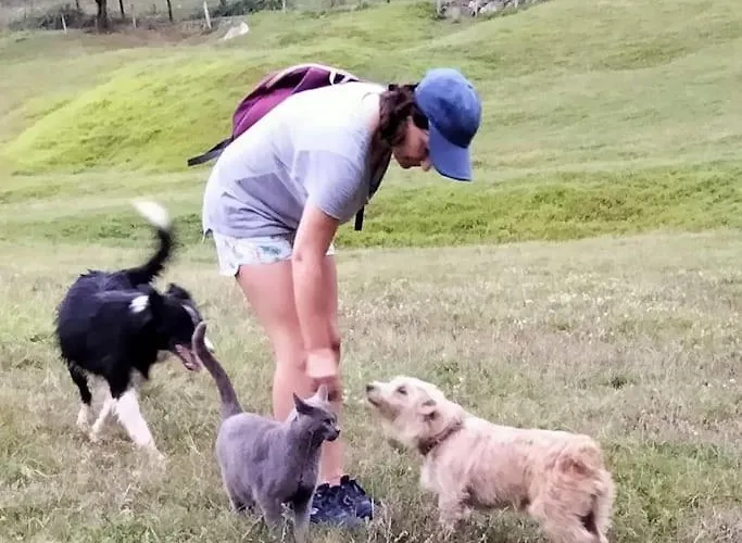 Pequenocabarceno Feriehus