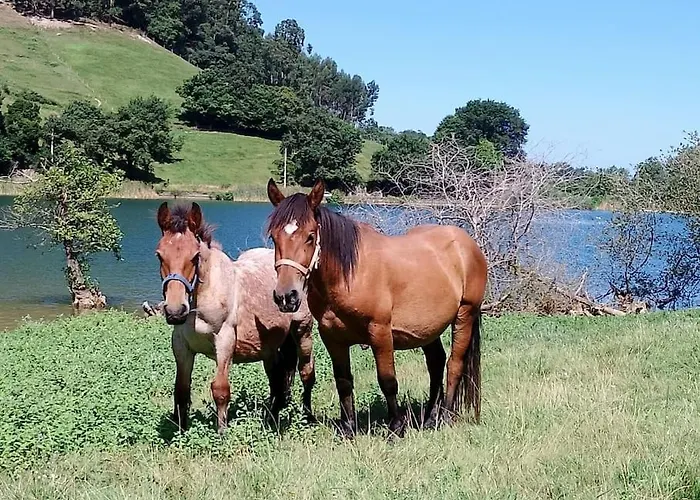 Pequenocabarceno Feriehus