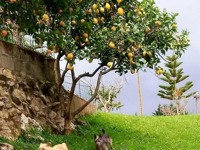 Pequenocabarceno Feriehus