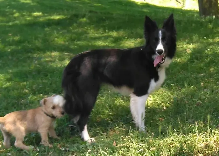Pequenocabarceno Feriehus Solares