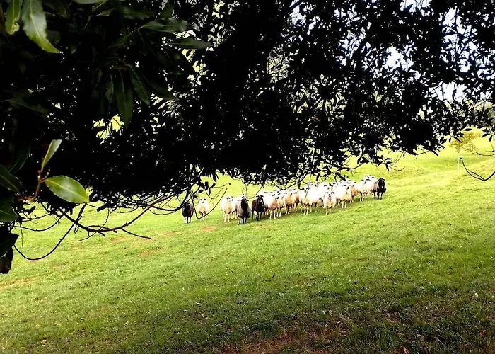 Pequenocabarceno * Solares