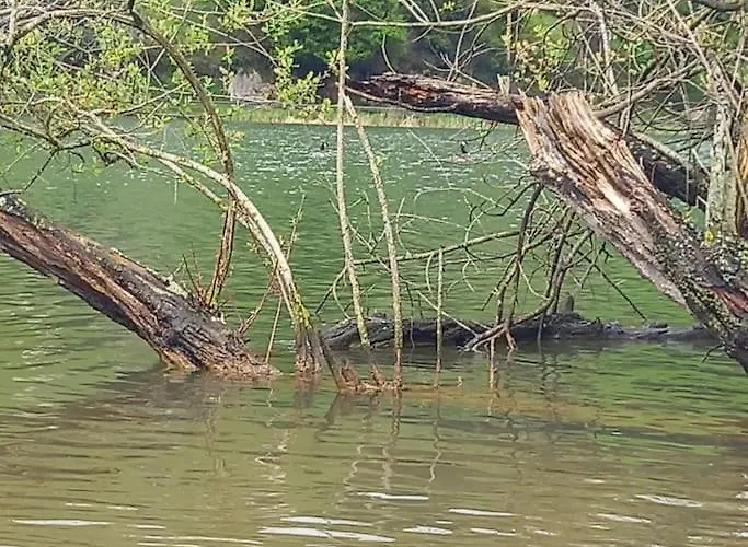 Pequenocabarceno Feriehus Solares