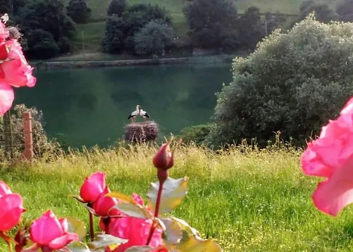 Pequenocabarceno Solares