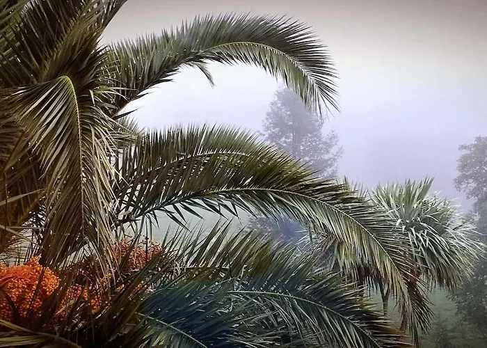 Prázdninový dům Pequenocabarceno Solares