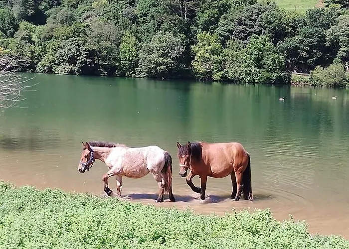 Pequenocabarceno Prázdninový dům Solares