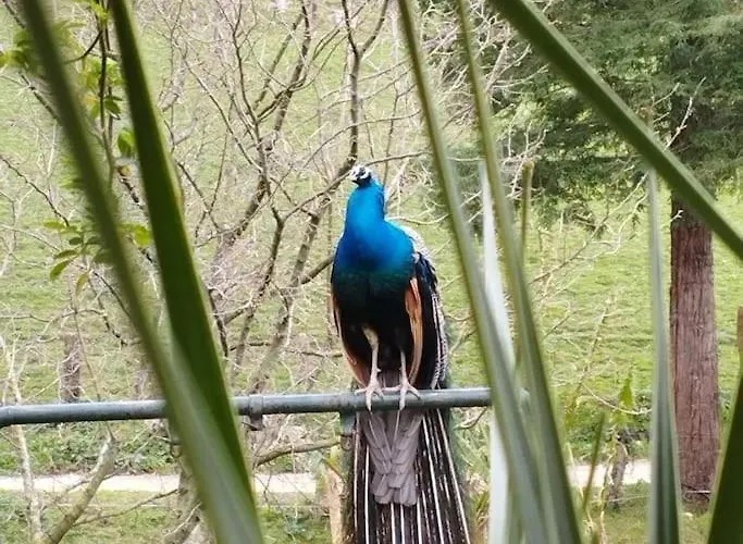 Pequenocabarceno Prázdninový dům Solares